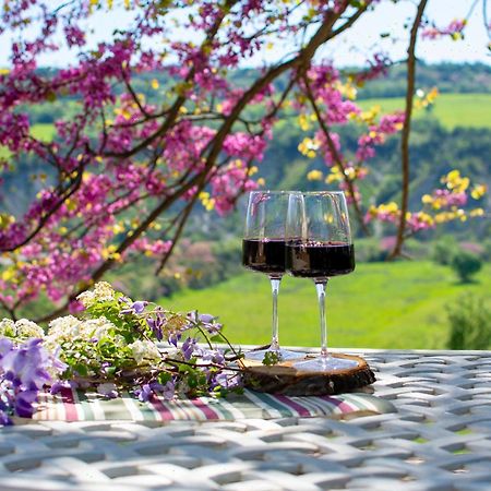 I Sicomori - Seme Di Carota - Glamping E Appartamenti Con Piscina A Saturnia Exteriör bild