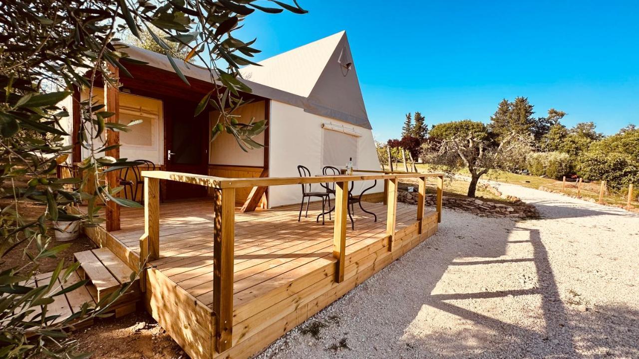 I Sicomori - Seme Di Carota - Glamping E Appartamenti Con Piscina A Saturnia Exteriör bild
