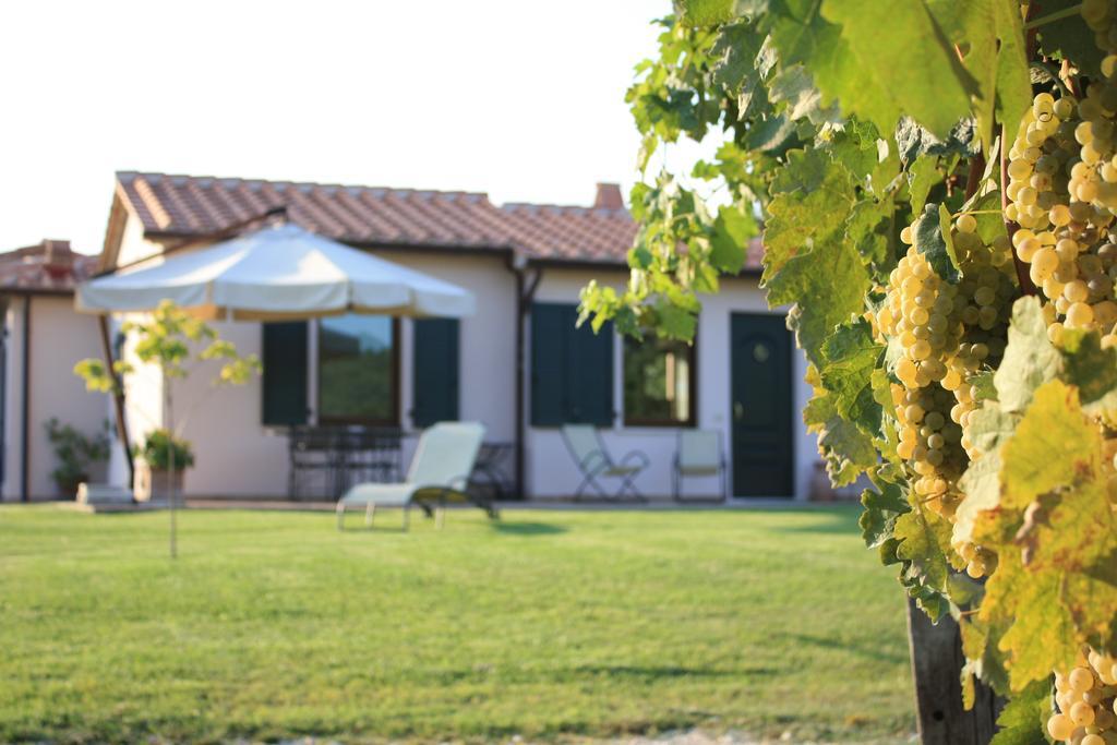 I Sicomori - Seme Di Carota - Glamping E Appartamenti Con Piscina A Saturnia Exteriör bild